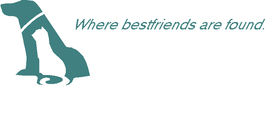 logo3.gif